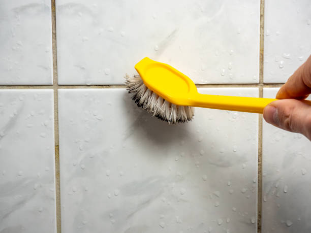 Best Mold Damage Repair  in Cudahy, CA