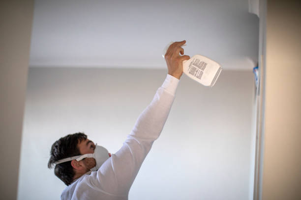 Best Crawl Space Mold Removal  in Cudahy, CA