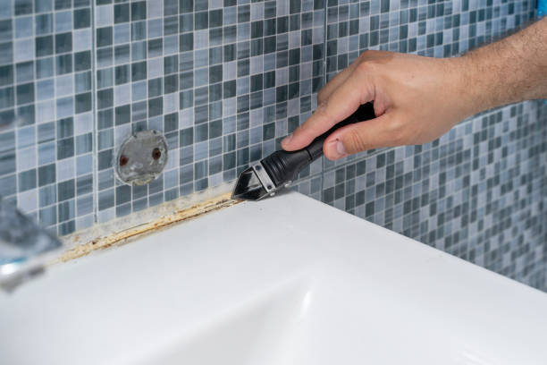 Best Toxic Mold Removal  in Cudahy, CA