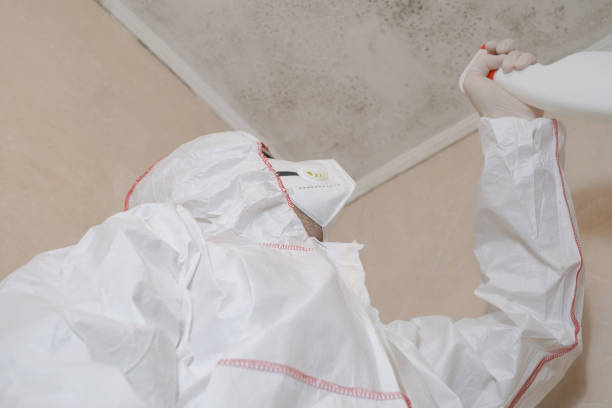 Best Commercial Mold Removal  in Cudahy, CA