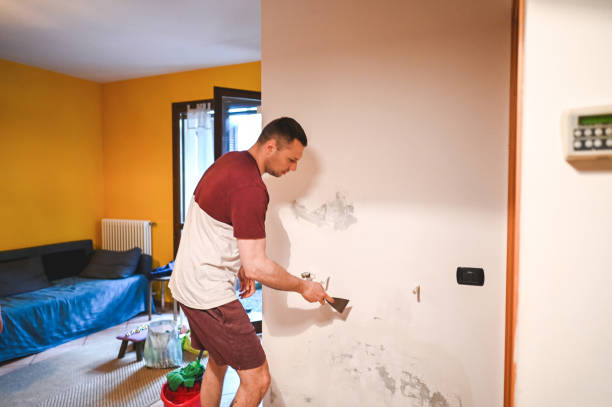 Best Mold Testing  in Cudahy, CA